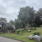 li564186882