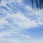 jackzha0252