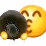 k j