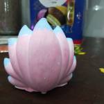 Master Acwy