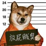 旭 杨