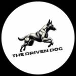 The Driven Dog