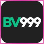 bv999 bv999