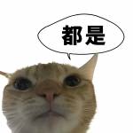 杨 杨