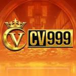 cv999 cv999