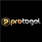 protogel protogel