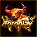 toroplay toroplay